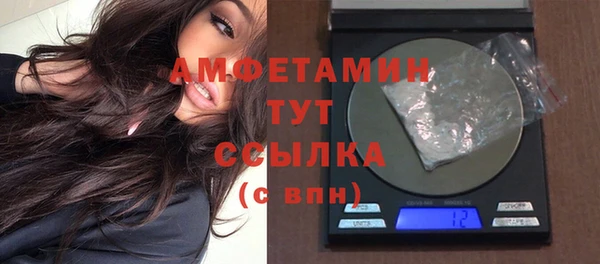прущие грибы Карпинск