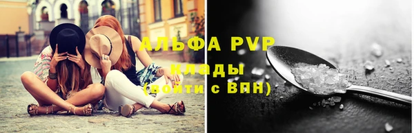 прущие грибы Карпинск